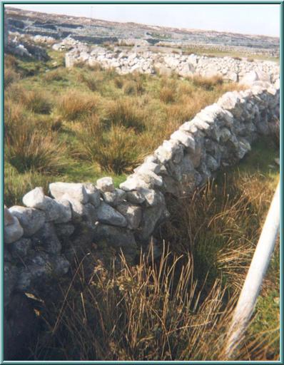 Connemara è famosa anche per i suoi muri a secco...