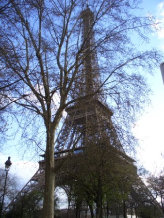  Sistemati i bagagli in camera via per la Torre Eiffel. La torre  veramente ci che ti fa pensare alla Francia grande. Tutta in ferro forgiato. Le travi imbullonate una ad una. Sono salito in ascensore fino alla sommit e l, durante la salita, si  alzato il vento e una bufera di neve ha colpito la torre. Veramente fantastico prendere la neve sulla torre Eifell, ma attenzione solo a quota 300m, perch poi pi in basso era solo pioggia. Una curiosit; la torre doveva essere demolita dopo la sua costruzione per l'esposizione di inizio secolo '900, ma grazie all'installazione di una stazione radio per l'esercito francese fu preservata. Tuttora  sede di ripetitori della Tv francese.